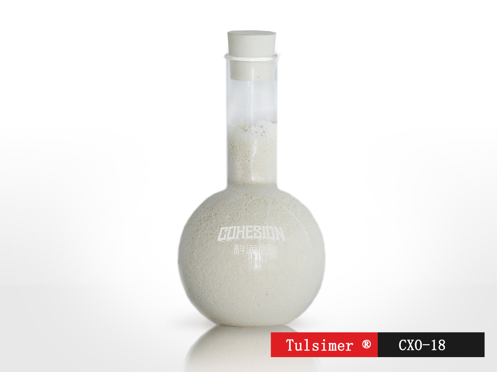 CXO-18.jpg CXO-18.jpg